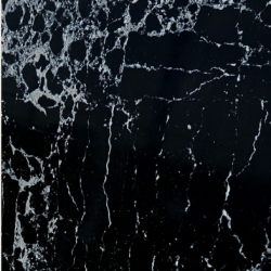 Picasso Black